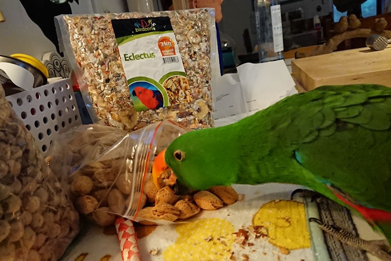 Almonds In Shell Chipper Parrots