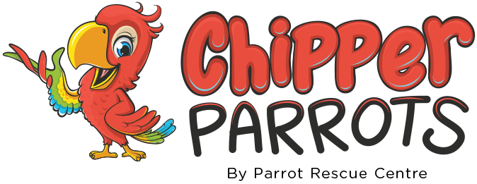 Chipper Parrots