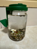 Living Sprouts
