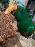 Natural Chunky Cork