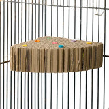 Treat n Seek - Corner