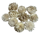 Sola Flowers