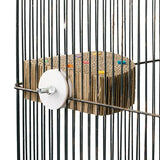 Treat n Seek - Corner