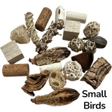 Refill Foraging Toys