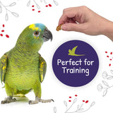 Little Foragers Chili Snaps 125g