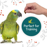 Little Foragers Veggie Nuggets 525g