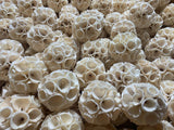 Sola Crepe Ball