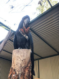 Crows Ash Woody Pod