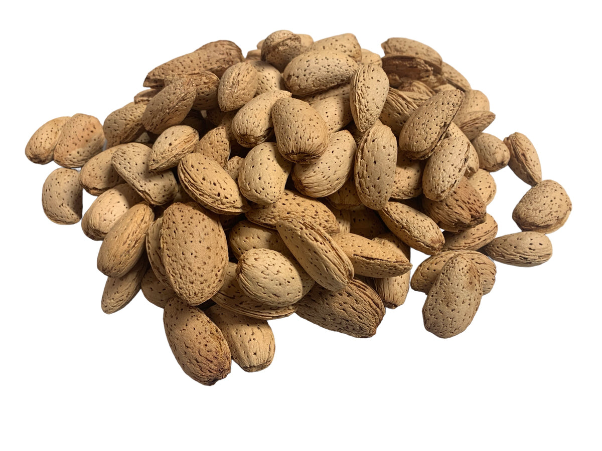 Almonds In Shell Chipper Parrots