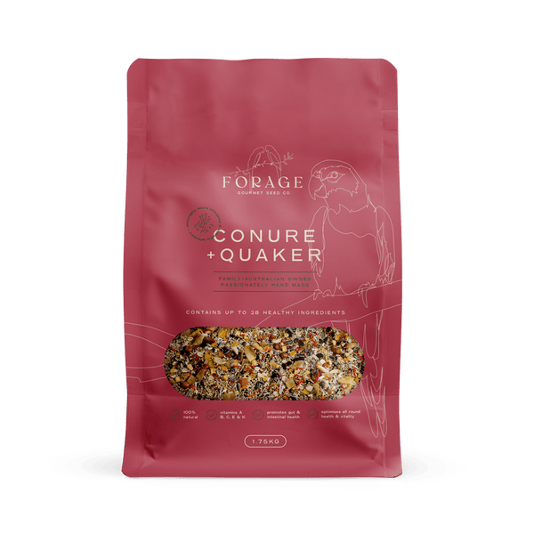 Forage Conure & Quaker Mix