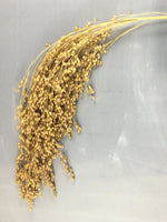 French White Millet Sprays