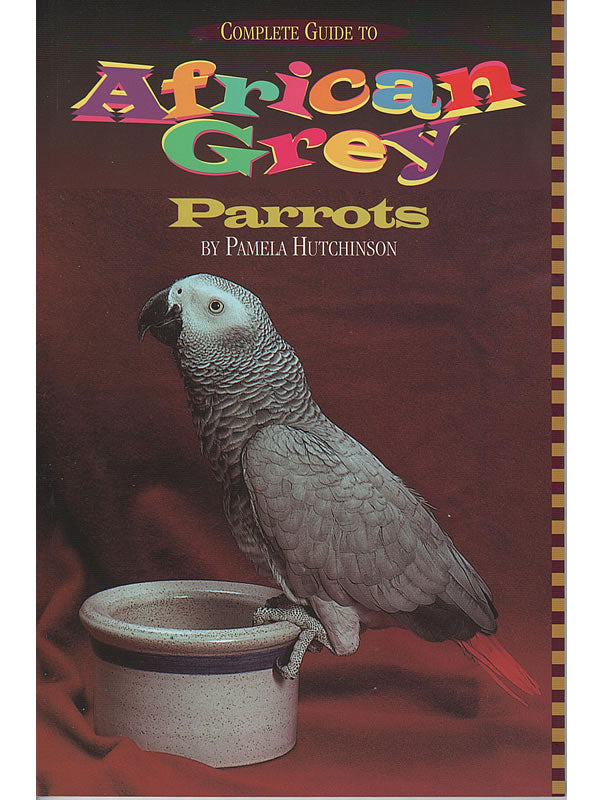 Complete Guide To African Grey Parrots – Chipper Parrots