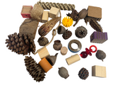 Refill Foraging Toys