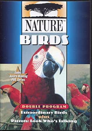 Nature Birds - Look who is Talking