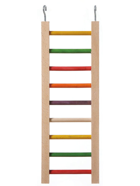 Parrot Ladder