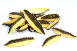 Natural Parrot Chips
