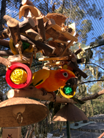 Garden Totem Parrot Swing